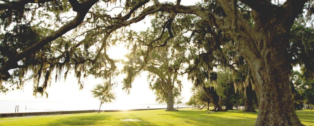 Mandeville Louisiana